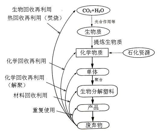 生物分解塑料的回收再利用技術-生物降解環保塑(圖1)